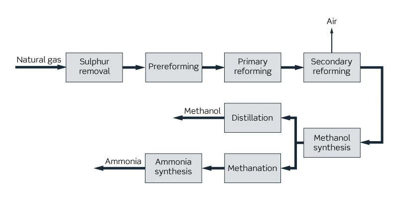 Methanol and ammonia co production