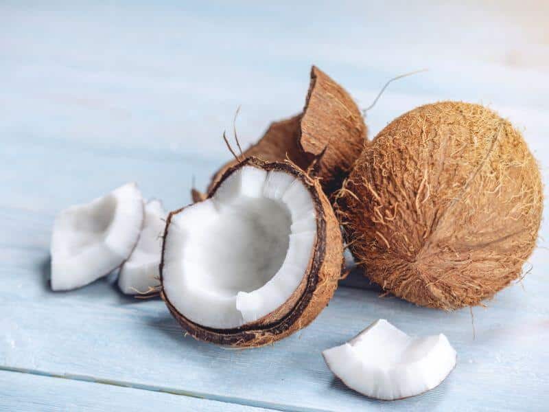 coconut activated carbon raw materials